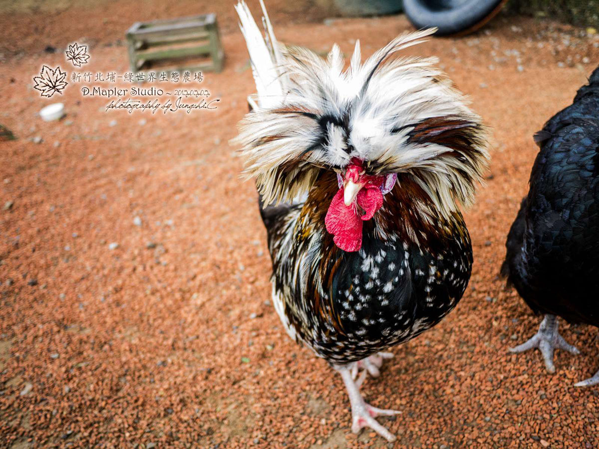 綠世界生態農場