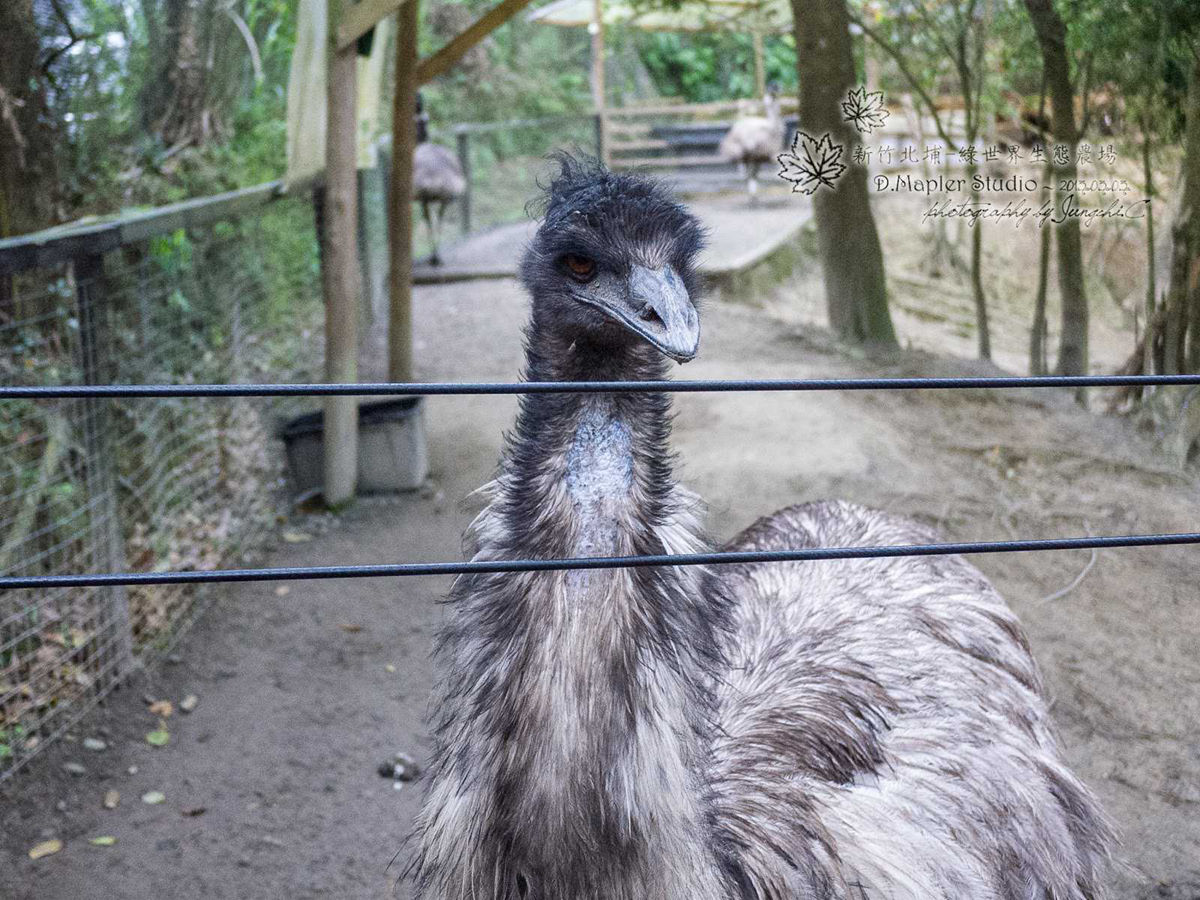 綠世界生態農場