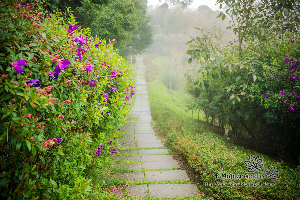 新竹｜城隍小吃、內灣老街、薰衣草森林 (下)