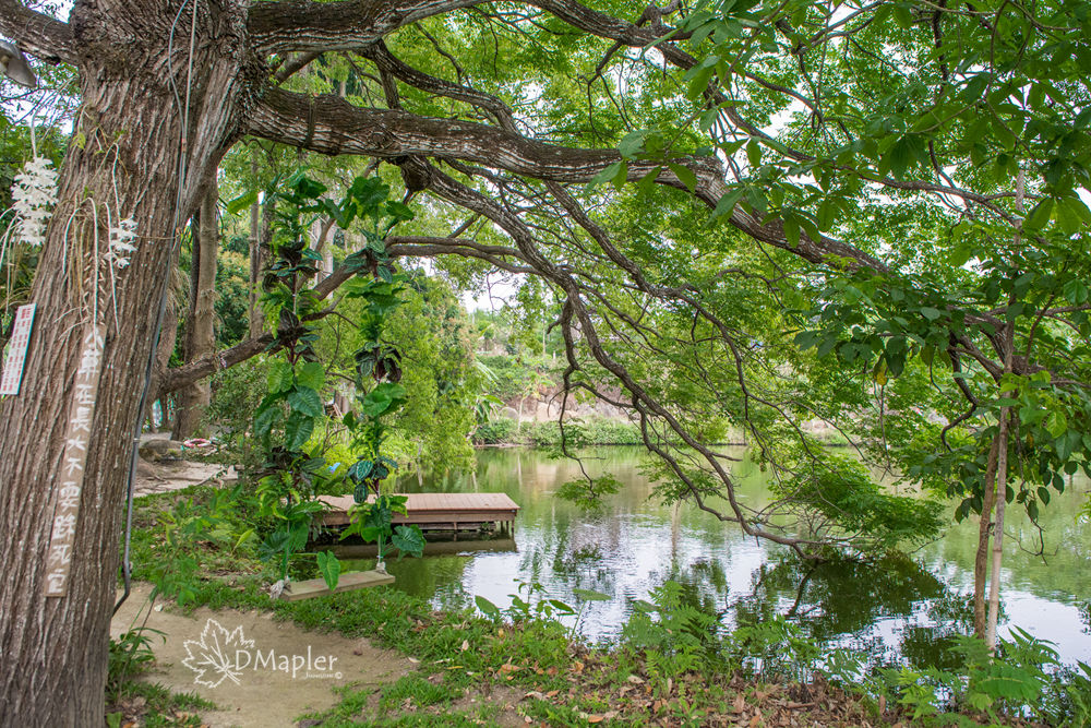 山門石頭咖啡 (水上咖啡屋)｜夢幻婚攝基地