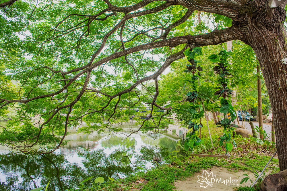 山門石頭咖啡 (水上咖啡屋)｜夢幻婚攝基地