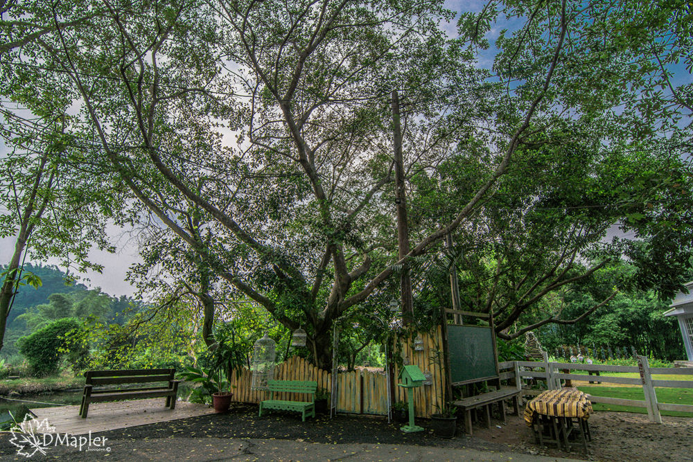 山門石頭咖啡 (水上咖啡屋)｜夢幻婚攝基地