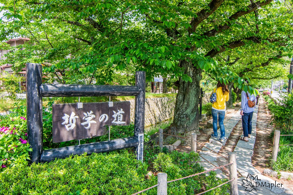 日本京都 哲學之道散策與滿佈銀沙的銀閣寺 慈照寺 Dmapler Studio 乘楓旅攝