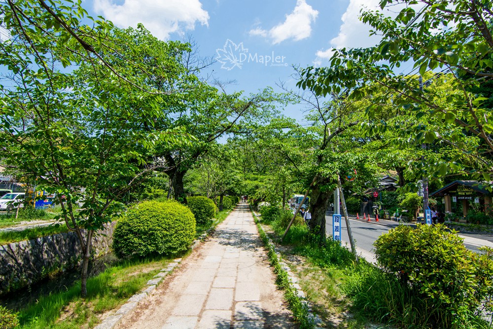 日本京都 哲學之道散策與滿佈銀沙的銀閣寺 慈照寺 Dmapler Studio 乘楓旅攝