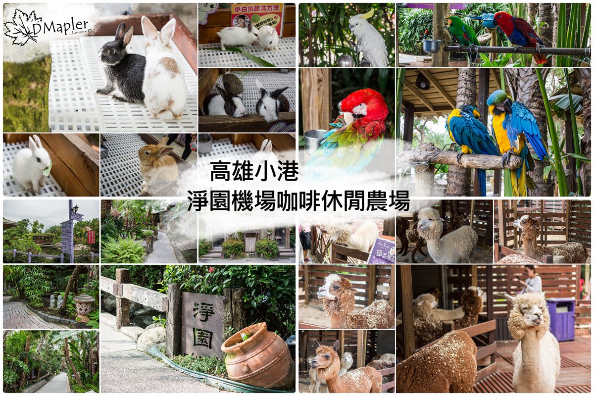 高雄小港｜淨園機場咖啡休閒農場｜烤肉、看飛機、喂養動物的好去處