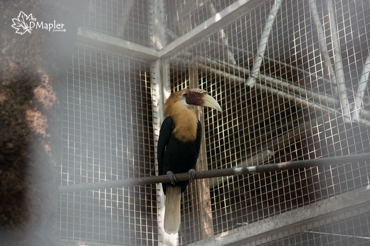 淨園機場咖啡休閒農場