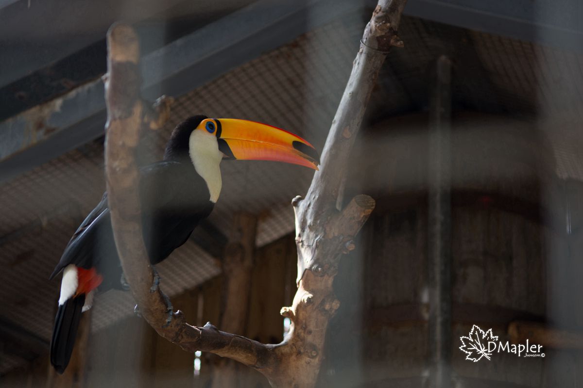 淨園機場咖啡休閒農場