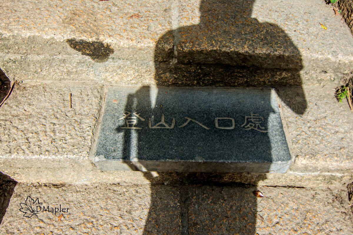 象山親山步道-北市賞夜景好去處