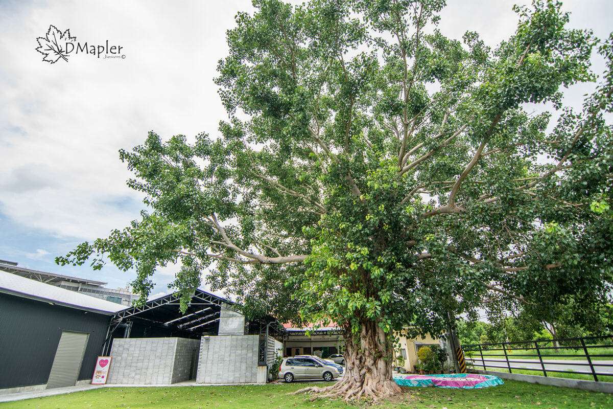 Fight K 覓蜜基地 Meetmegd-文創園區