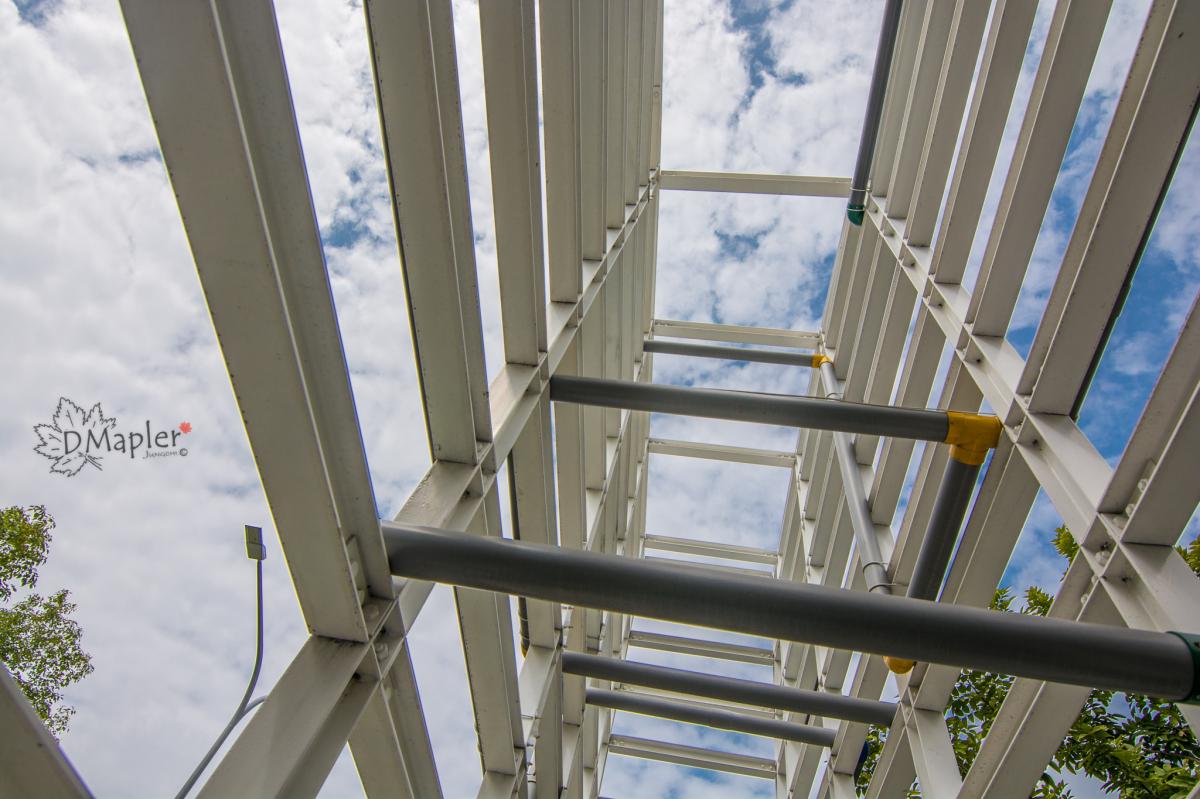 彩虹長廊×不二良小鼠×童年狂想曲 (新營美術園區)