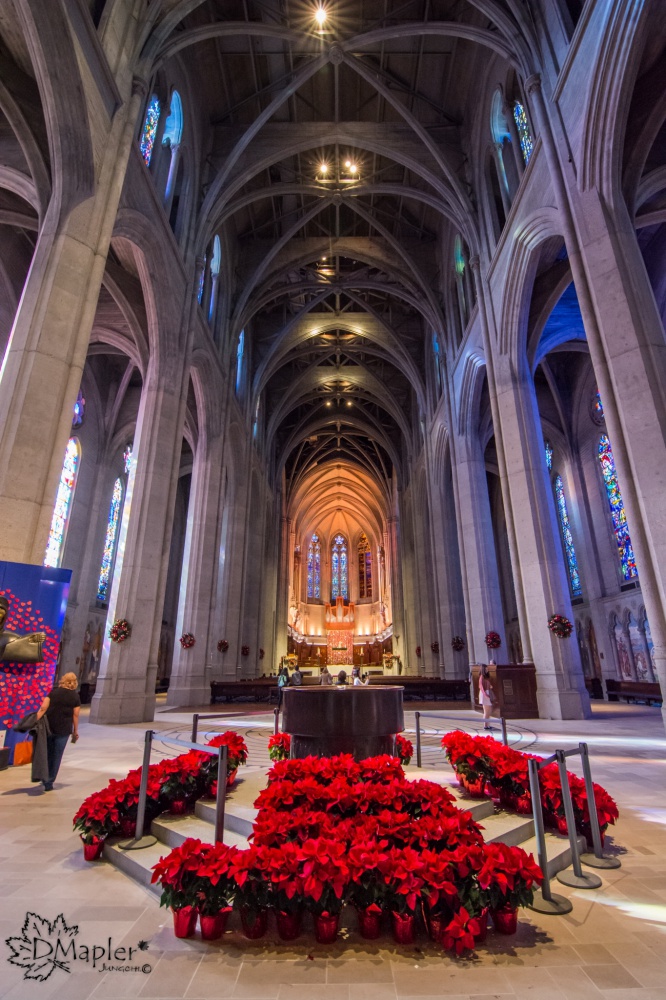 舊金山-慈恩堂 Grace Cathedral