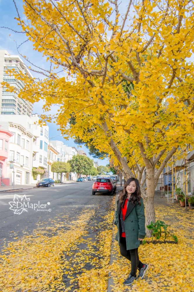 舊金山-慈恩堂 Grace Cathedral