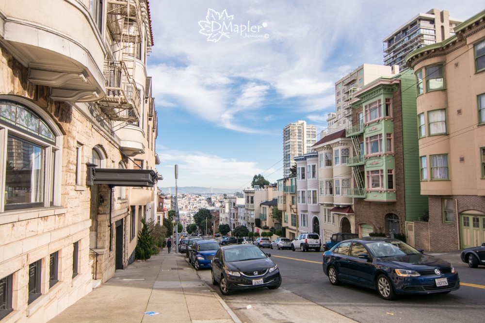 舊金山-九曲花街(Lombard Street) 倫巴底街