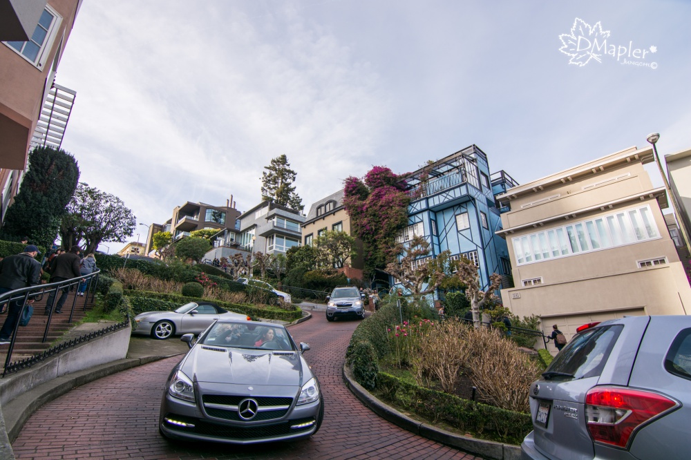 舊金山-九曲花街(Lombard Street) 倫巴底街
