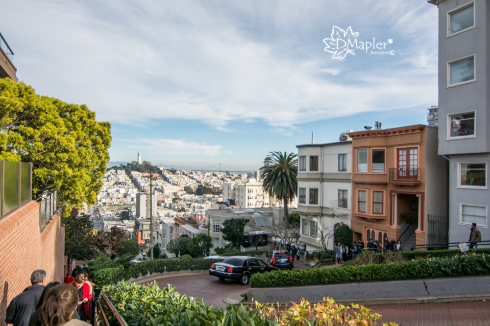 舊金山-九曲花街(Lombard Street) 倫巴底街