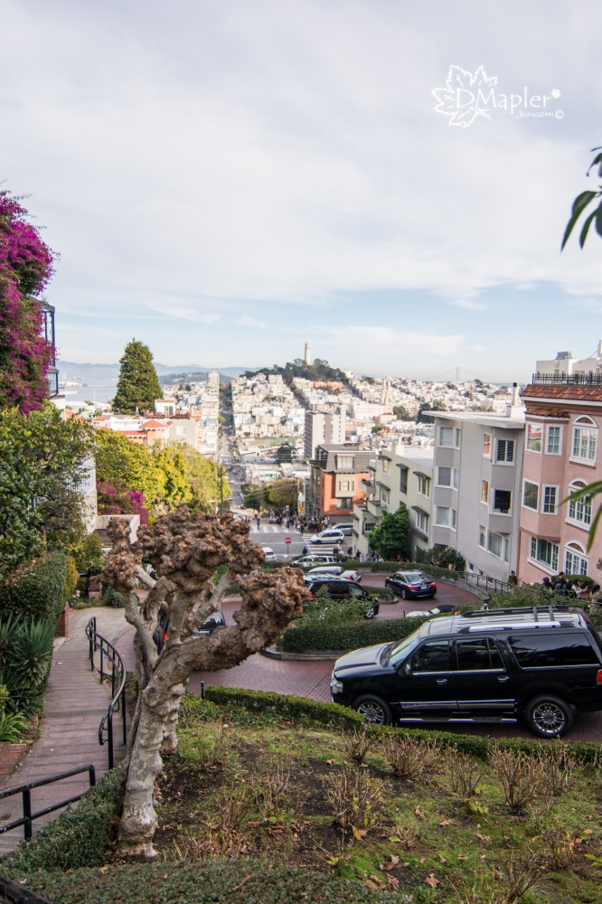 舊金山-九曲花街(Lombard Street) 倫巴底街