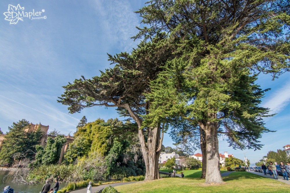 藝術宮Palace of Fine Arts│萬國博覽會遺址