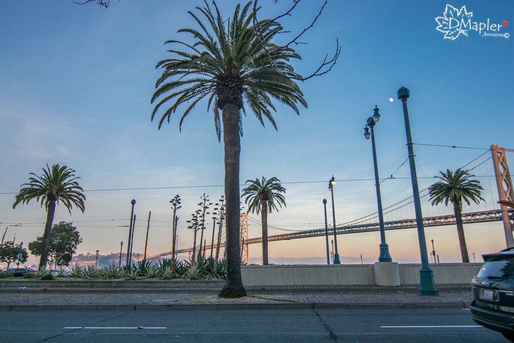 舊金山渡輪大廈(Ferry Building)│集美景與美食於一身的知名景點