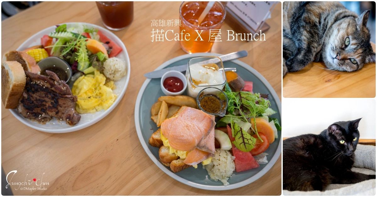 描Cafe X 屋 Brunch｜中央公園附近的貓咪特色早午餐店